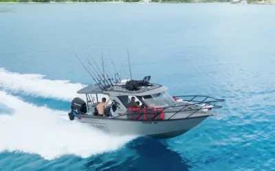 Boat Paint Protection